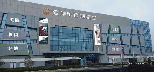 哪些网红是在新沂的公司,盘点当红流量担当！”