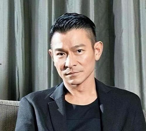 刘德华 其他明星,华语娱乐圈璀璨群英荟萃记”