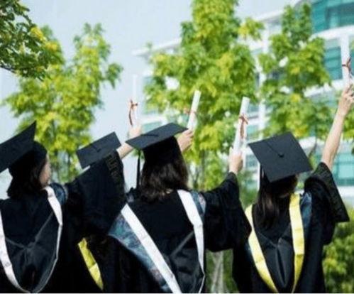 高职毕业的明星,逆袭之路，闪耀星途