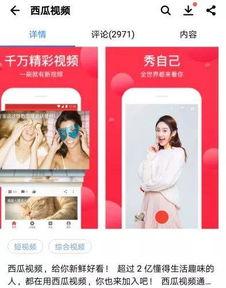 西瓜头条怎么直播游戏,轻松开启你的游戏直播之旅