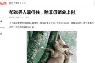 头条上课搞笑视频,搞笑视频带你重温校园时光