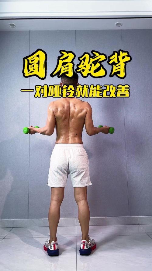 头条健身的小哥哥照片,头条健身小哥哥的健美身材揭秘！”