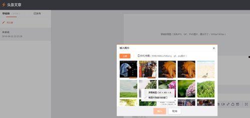 头条中怎么删除文章图片,头条文章图片删除指南