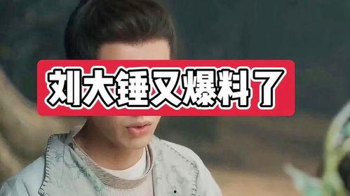 刘大锤爆料汪卓成的视频,独家爆料引热议