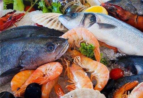 看鱼吃料文案怎么写,探寻看鱼吃料的独特魅力