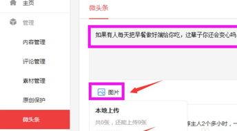 今日头条微头条下载,轻松获取海量资讯，畅享便捷阅读体验