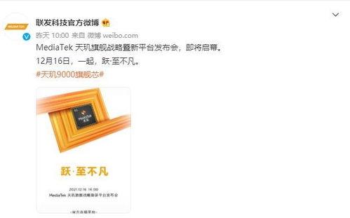 查看12月16日的头条,重大新闻事件深度解析