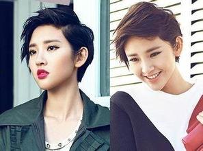 我想要成为明星