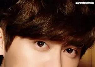 搜索我的明星,揭秘我的偶像背后的故事