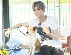 约吧约吧大明星鹿晗,约吧约吧，闪耀大明星之路