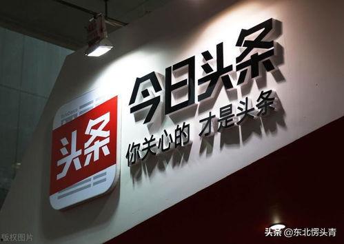 青今日头条,聚焦青年热点，洞察时代脉搏