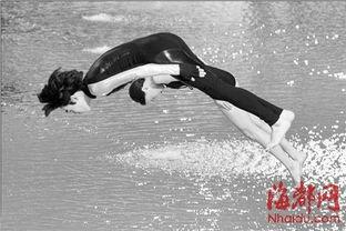 明星跳水停播,经典节目停播引热议