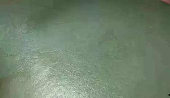 外料是怎么看的,揭秘原料背后的奥秘与工艺