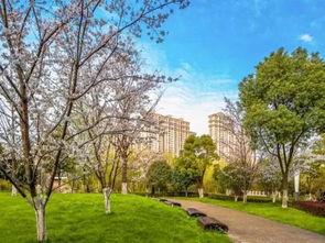 网红公园对比图片大全