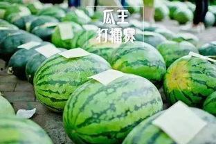 吃瓜王图片,一场视觉盛宴背后的故事