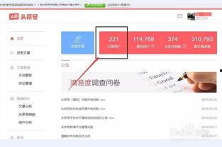 如何看头条用户人数排名,洞察流量密码，揭秘热门趋势
