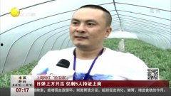 在线吃瓜赵龙视频